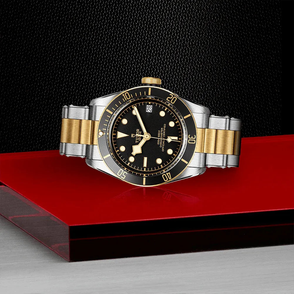 Tudor Black Bay S&G Watch 41mm M79733N-0008