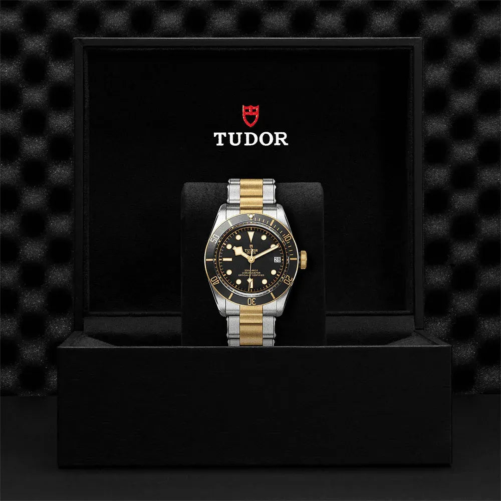 Tudor Black Bay S&G Watch 41mm M79733N-0008