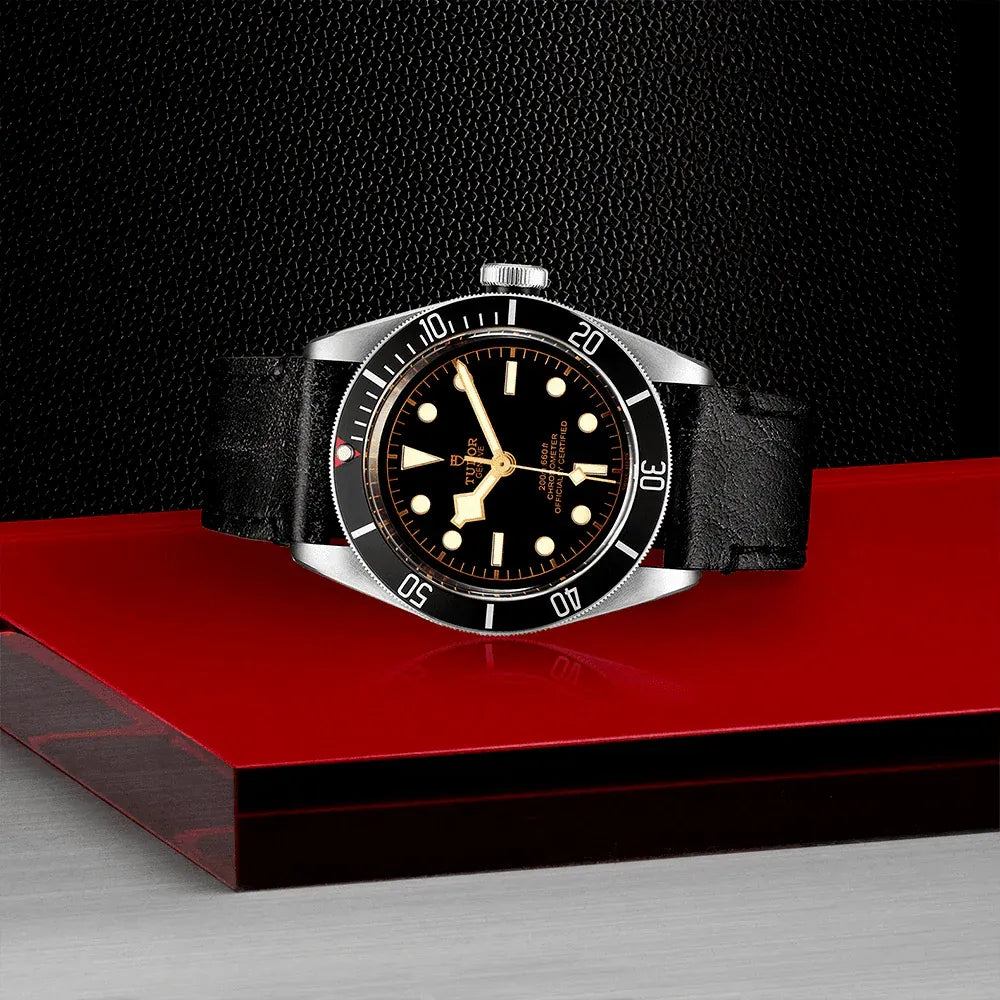 Tudor Black Bay Watch 41mm M79230N-0008