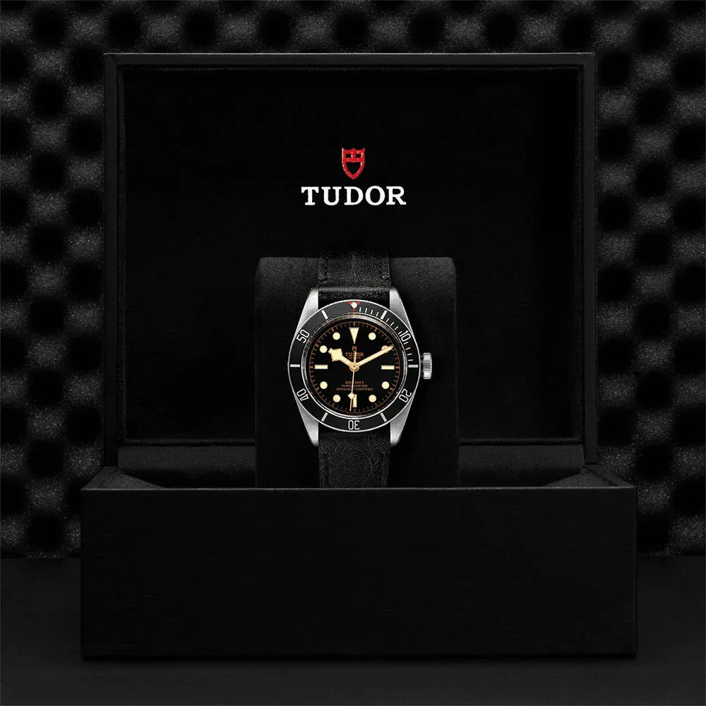Tudor Black Bay Watch 41mm M79230N-0008