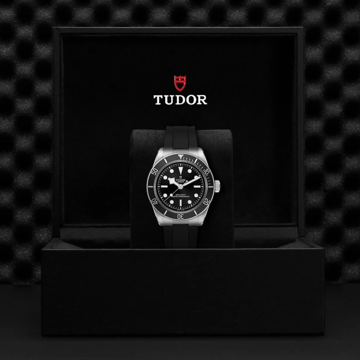 Tudor Black Bay Watch 41mm M7941A1A0NU-0002