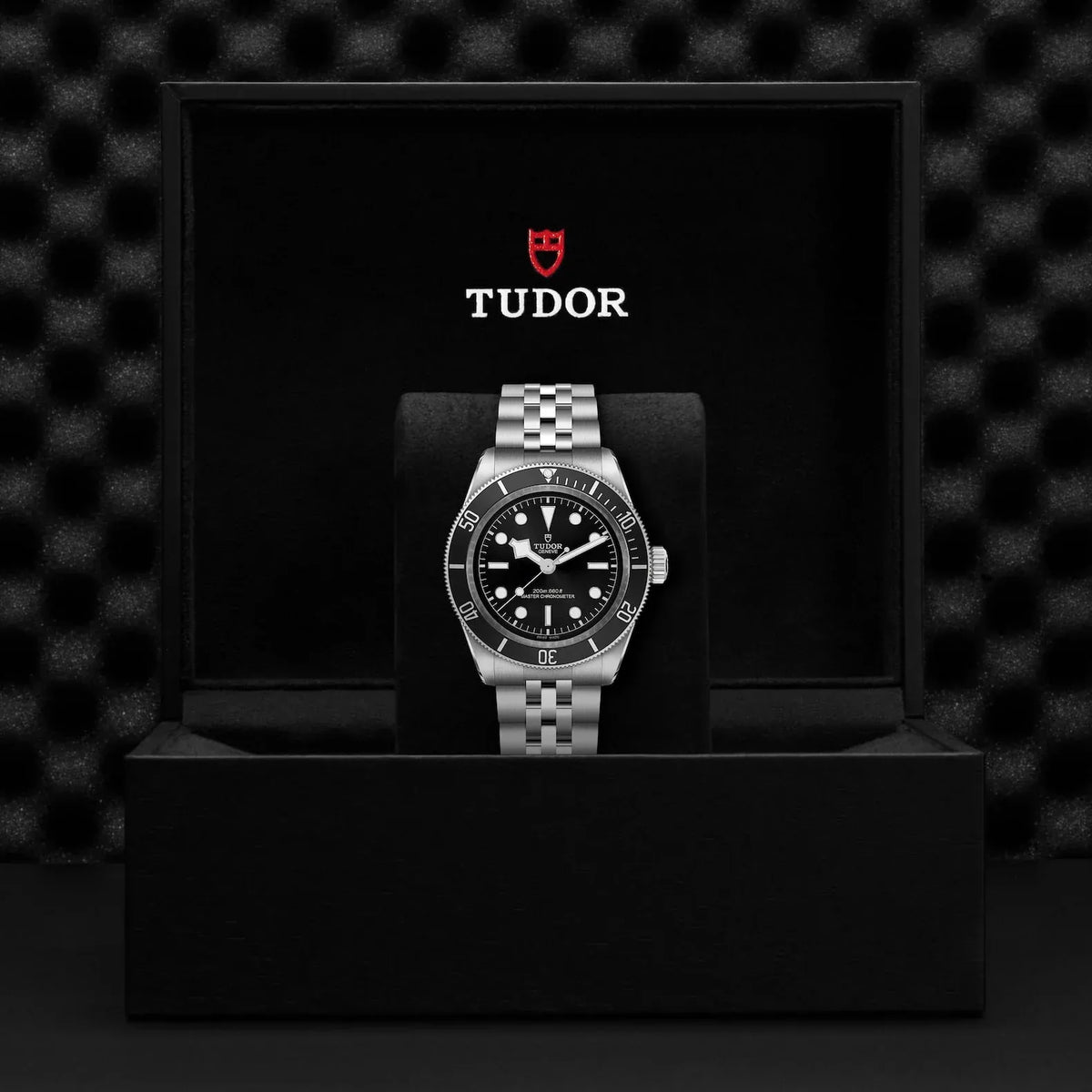 Tudor Black Bay Watch 41mm M7941A1A0NU-0003