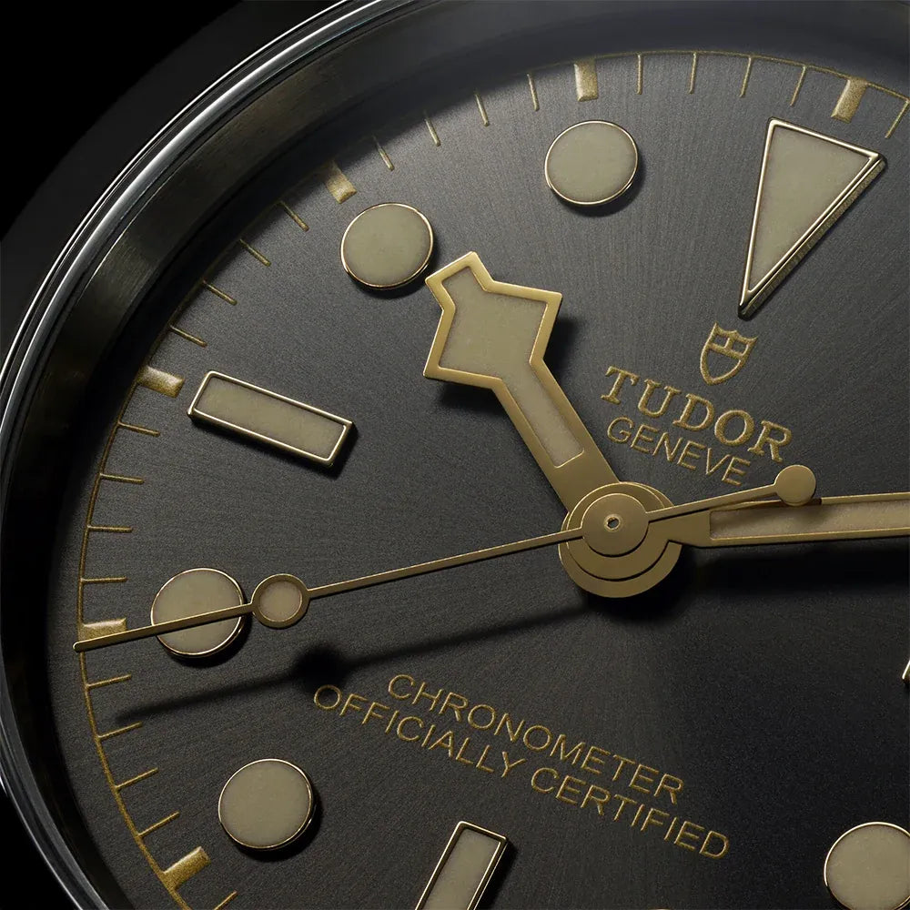 Tudor Black Bay Watch 41mm M79680-0001