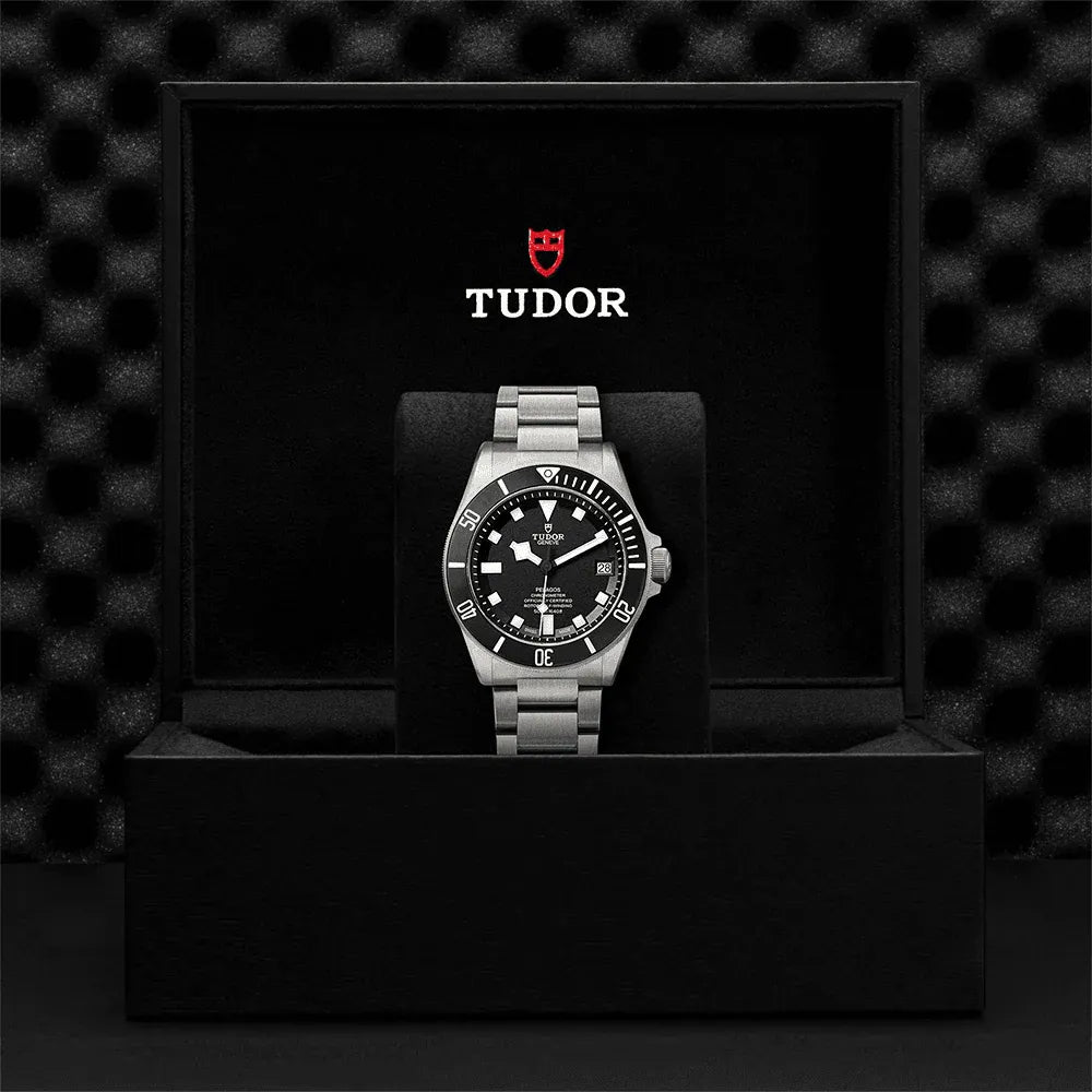 Tudor Pelagos Watch 42mm M25600TN-0001